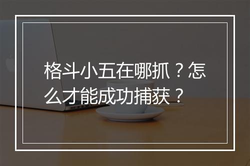 格斗小五在哪抓？怎么才能成功捕获？