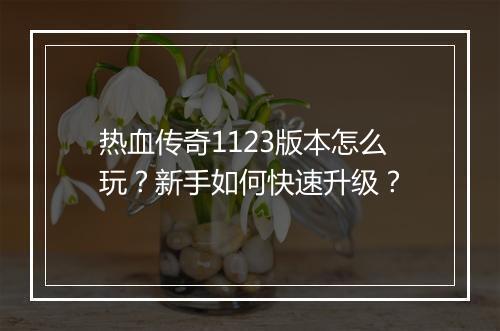 热血传奇1123版本怎么玩？新手如何快速升级？