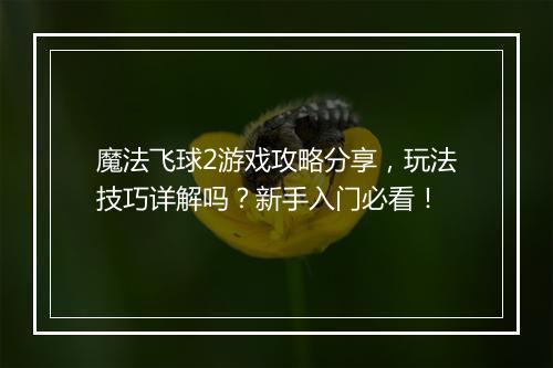 魔法飞球2游戏攻略分享，玩法技巧详解吗？新手入门必看！