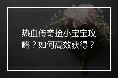 热血传奇捡小宝宝攻略？如何高效获得？