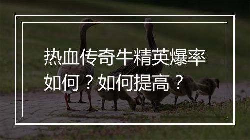 热血传奇牛精英爆率如何？如何提高？