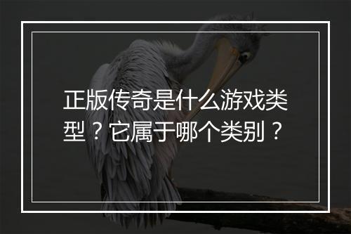 正版传奇是什么游戏类型？它属于哪个类别？