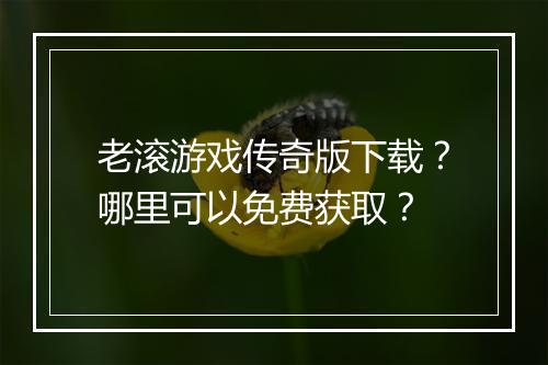 老滚游戏传奇版下载？哪里可以免费获取？