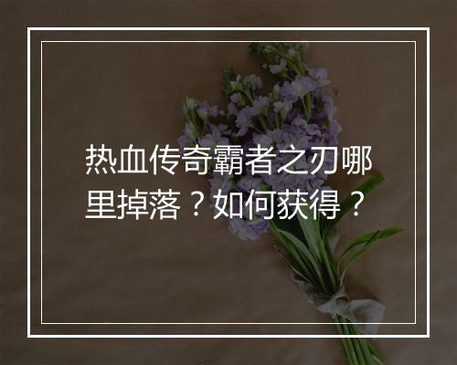 热血传奇霸者之刃哪里掉落？如何获得？