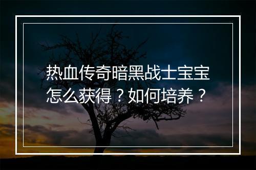 热血传奇暗黑战士宝宝怎么获得？如何培养？