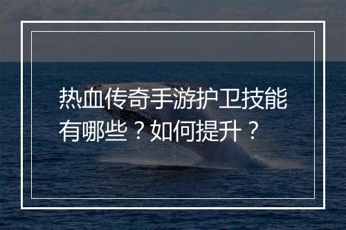 热血传奇手游护卫技能有哪些？如何提升？