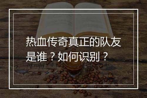 热血传奇真正的队友是谁？如何识别？