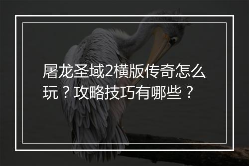屠龙圣域2横版传奇怎么玩？攻略技巧有哪些？