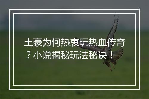 土豪为何热衷玩热血传奇？小说揭秘玩法秘诀！