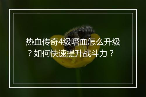 热血传奇4级嗜血怎么升级？如何快速提升战斗力？