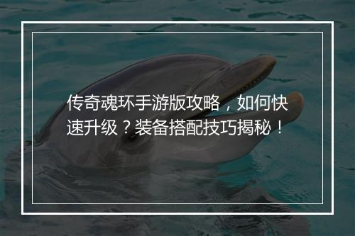 传奇魂环手游版攻略，如何快速升级？装备搭配技巧揭秘！