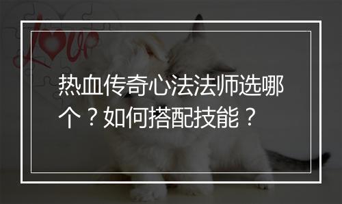 热血传奇心法法师选哪个？如何搭配技能？