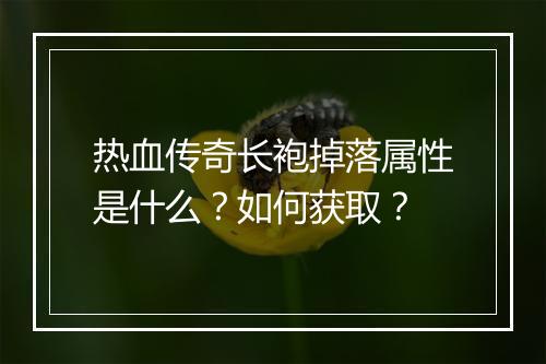 热血传奇长袍掉落属性是什么？如何获取？