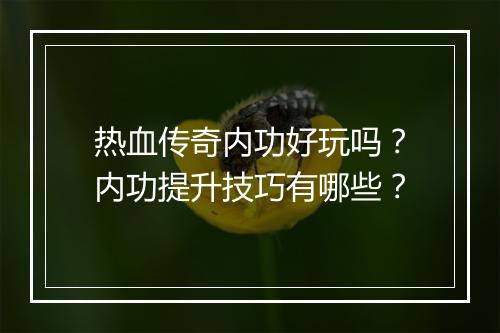 热血传奇内功好玩吗？内功提升技巧有哪些？