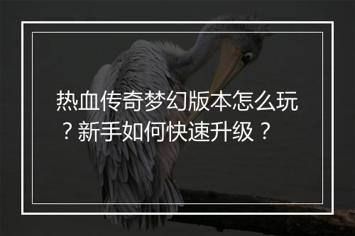 热血传奇梦幻版本怎么玩？新手如何快速升级？