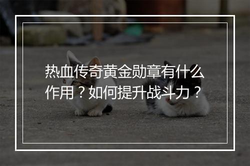 热血传奇黄金勋章有什么作用？如何提升战斗力？