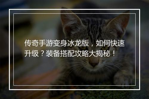 传奇手游变身冰龙版，如何快速升级？装备搭配攻略大揭秘！