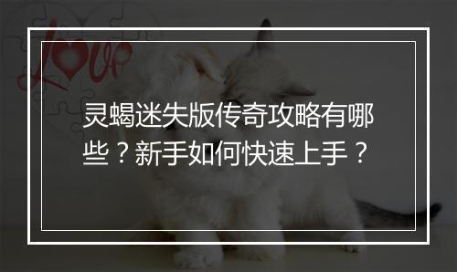 灵蝎迷失版传奇攻略有哪些？新手如何快速上手？