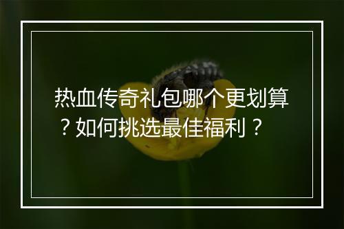 热血传奇礼包哪个更划算？如何挑选最佳福利？