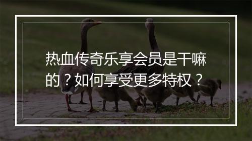 热血传奇乐享会员是干嘛的？如何享受更多特权？