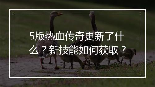 5版热血传奇更新了什么？新技能如何获取？