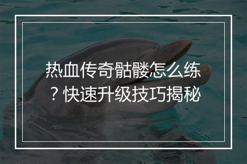 热血传奇骷髅怎么练？快速升级技巧揭秘