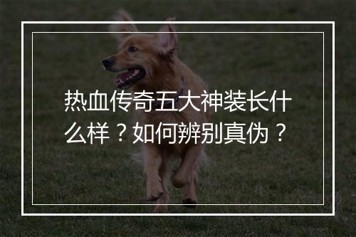 热血传奇五大神装长什么样？如何辨别真伪？