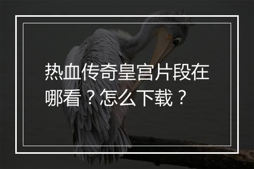 热血传奇皇宫片段在哪看？怎么下载？