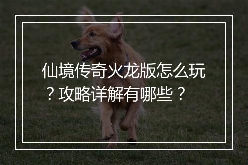仙境传奇火龙版怎么玩？攻略详解有哪些？