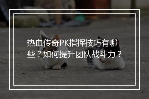 热血传奇PK指挥技巧有哪些？如何提升团队战斗力？