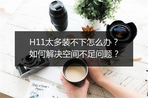 H11太多装不下怎么办？如何解决空间不足问题？