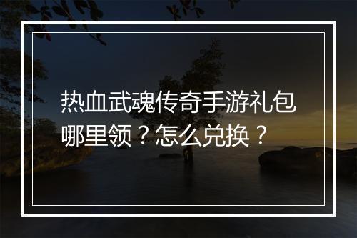 热血武魂传奇手游礼包哪里领？怎么兑换？