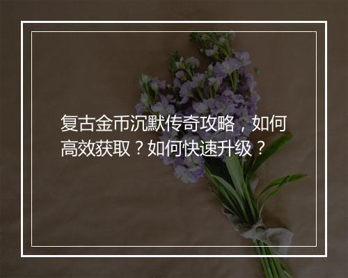 复古金币沉默传奇攻略，如何高效获取？如何快速升级？