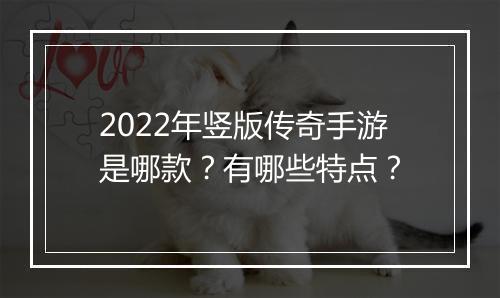 2022年竖版传奇手游是哪款？有哪些特点？