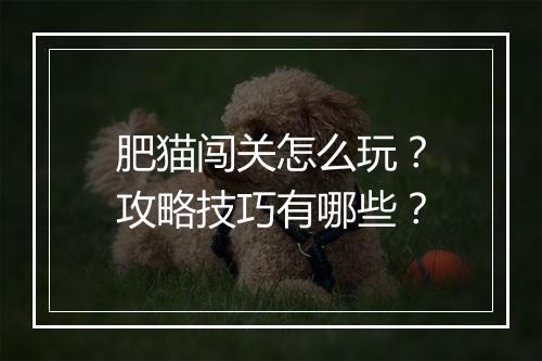 肥猫闯关怎么玩？攻略技巧有哪些？