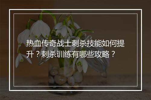 热血传奇战士刺杀技能如何提升？刺杀训练有哪些攻略？