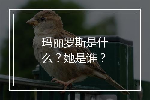玛丽罗斯是什么？她是谁？