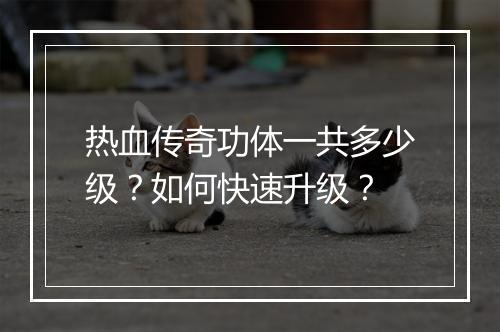 热血传奇功体一共多少级？如何快速升级？