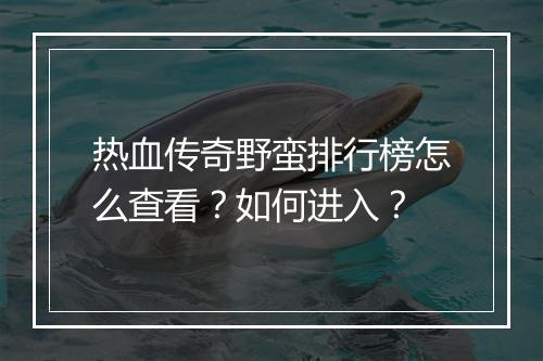 热血传奇野蛮排行榜怎么查看？如何进入？