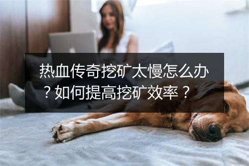 热血传奇挖矿太慢怎么办？如何提高挖矿效率？