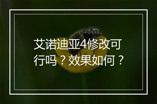 艾诺迪亚4修改可行吗？效果如何？
