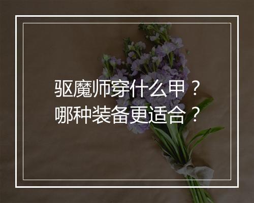 驱魔师穿什么甲？哪种装备更适合？