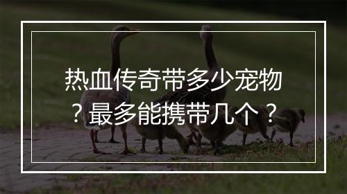 热血传奇带多少宠物？最多能携带几个？