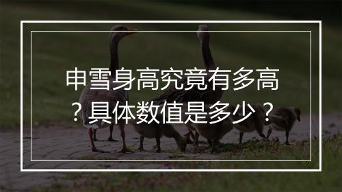 申雪身高究竟有多高？具体数值是多少？