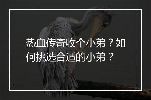 热血传奇收个小弟？如何挑选合适的小弟？