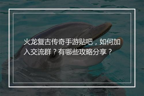 火龙复古传奇手游贴吧，如何加入交流群？有哪些攻略分享？
