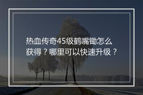 热血传奇45级鹤嘴锄怎么获得？哪里可以快速升级？
