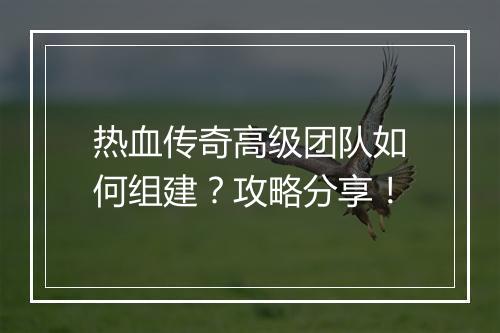 热血传奇高级团队如何组建？攻略分享！
