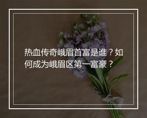 热血传奇峨眉首富是谁？如何成为峨眉区第一富豪？