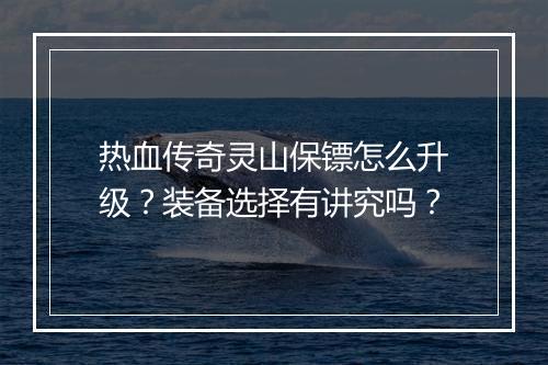 热血传奇灵山保镖怎么升级？装备选择有讲究吗？